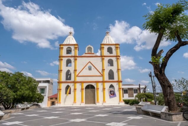 Los palmitos