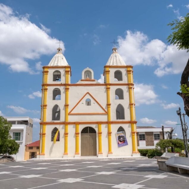 Los palmitos